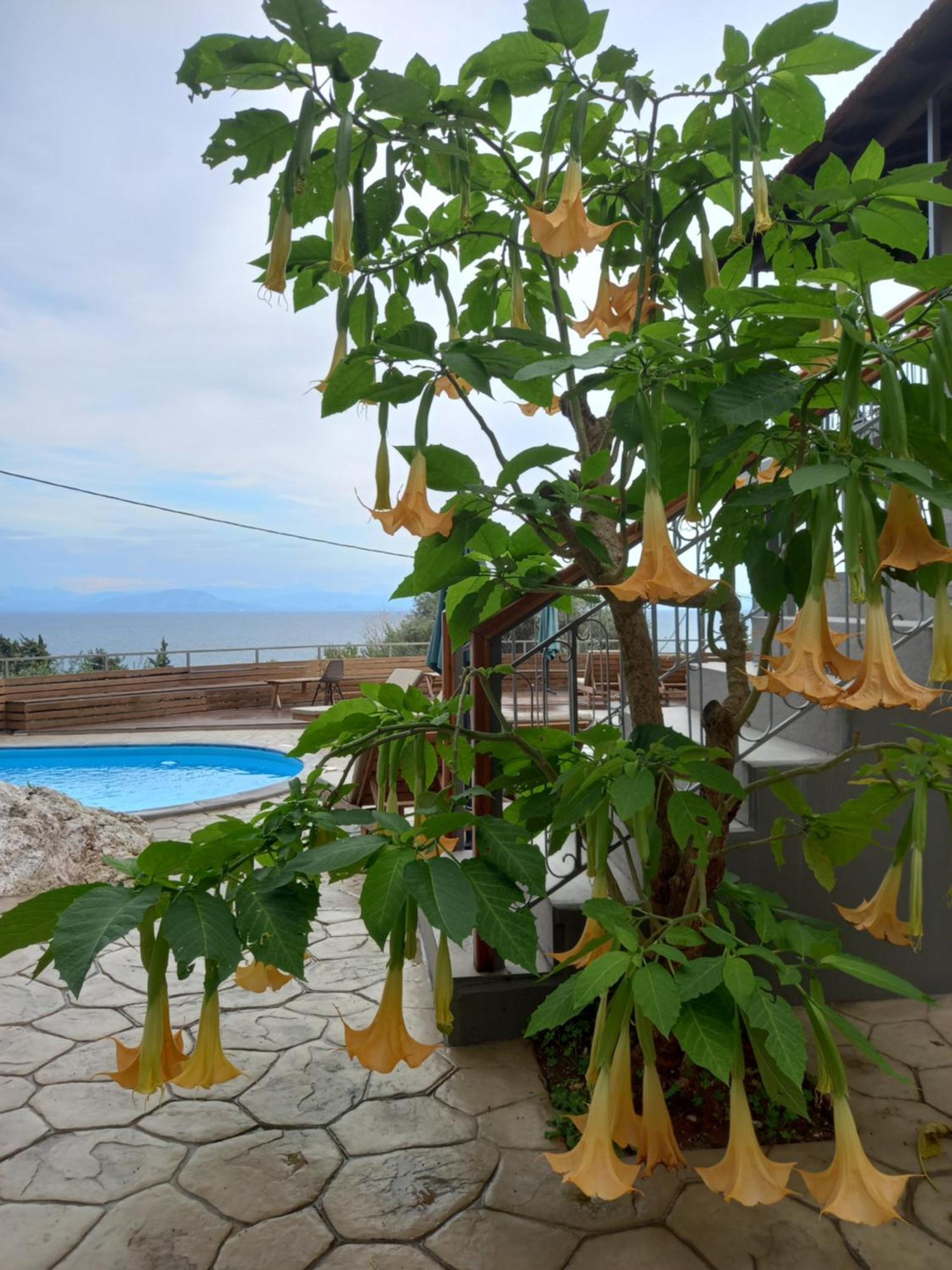 Seven Keys Luxury Suites Achilleion Ngoại thất bức ảnh